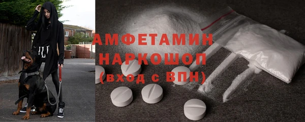 индика Надым