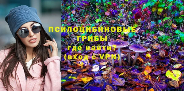 индика Надым