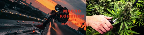 индика Надым