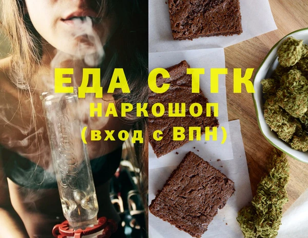 индика Надым