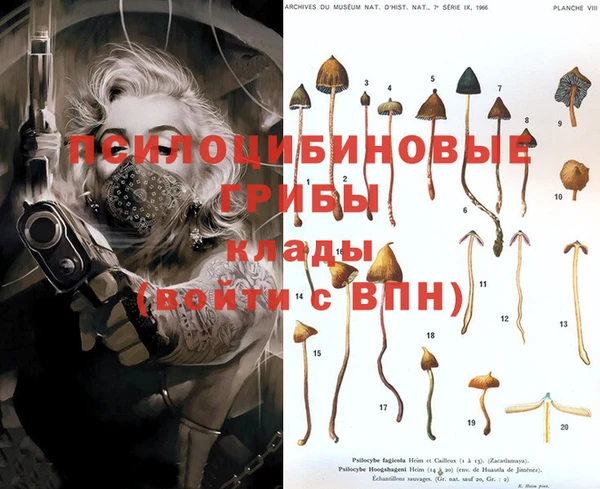 индика Надым