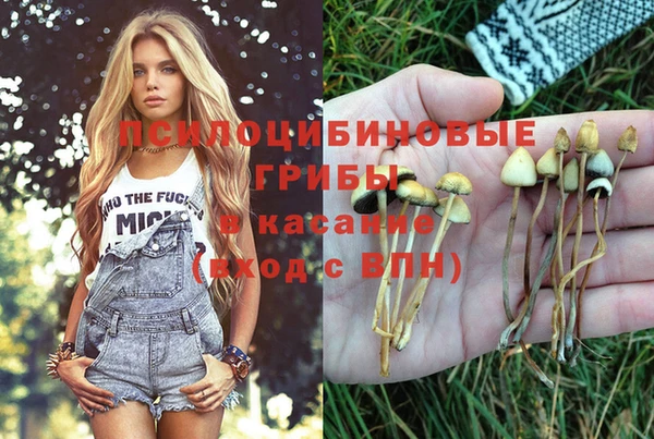 индика Надым