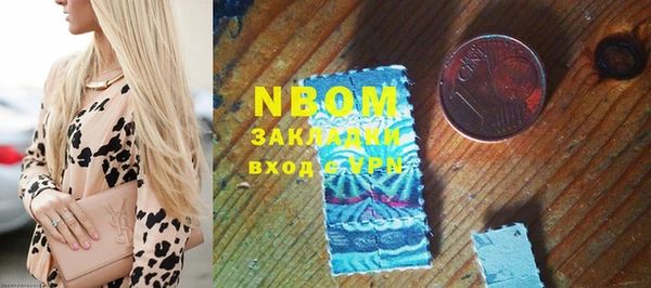 индика Надым