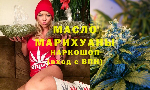 индика Надым
