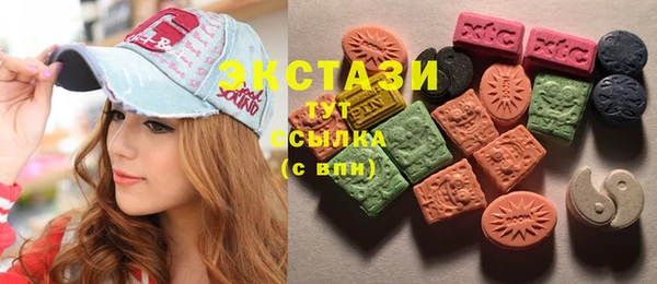 индика Надым