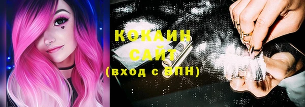 индика Надым