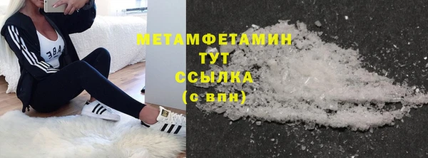 индика Надым