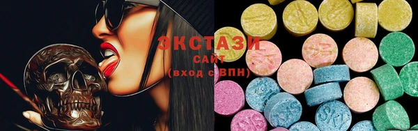 индика Надым